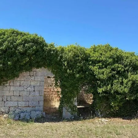 Villa Masseria Castelletto